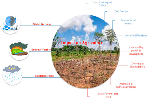 Figure 5. Refer to the image caption for details.
