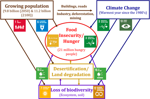 Figure 6. Refer to the image caption for details.