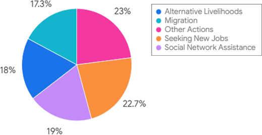 Pie chart showing adaptation strategies to financial and environmental challenges among fishery households Refer to the image caption for details.