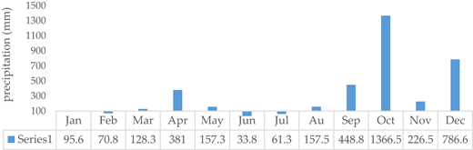 Average precipitation by month in Thua Thien Hue in 2022 Refer to the image caption for details.