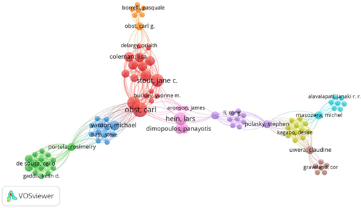 Network visualization of authors coauthorship analysis Refer to the image caption for details.