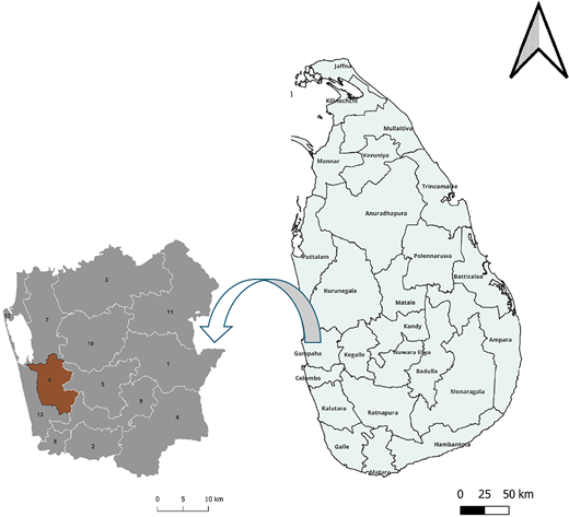A map of Sri Lanka highlights Gampaha district and shows an inset with 13 numbered divisions and a 0 to 10 kilometre scale.