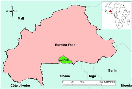 A map of Burkina Faso showing the Nahouri area within the country, neighbouring countries, a north arrow, and a distance scale up to 300 kilometres.