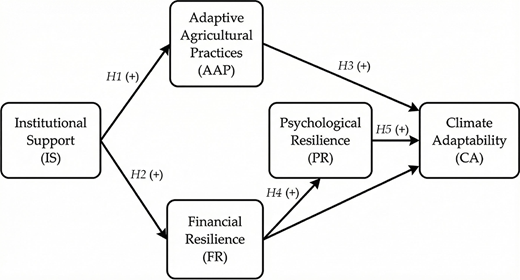 A conceptual path model links institutional support, adaptive agricultural practices, financial resilience, and psychological resilience to climate adaptability.