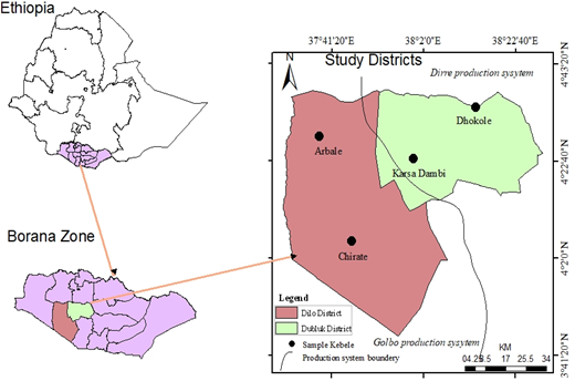 A location map of the study area in Ethiopia showing Borana Zone and the selected districts Dilloo and Dubuluk with sample kebeles.