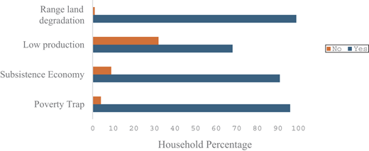 A horizontal bar chart showing household percentage reporting range land degradation, low production, subsistence economy, and poverty trap.