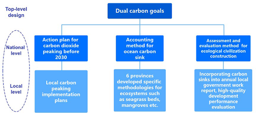 A hierarchy diagram links dual carbon goals to national-level plans and local-level actions for carbon peaking, ocean carbon sinks, and assessment methods.