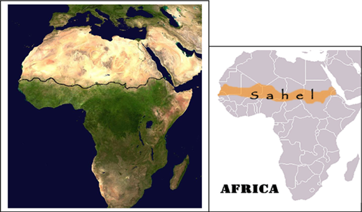 Figure 1 Refer to the image caption for details.
