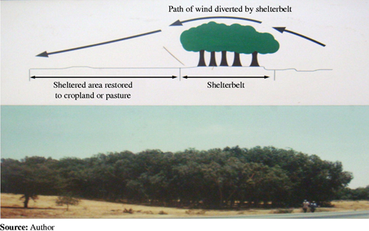 Figure 2 Refer to the image caption for details.