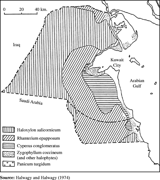 Figure 5 Refer to the image caption for details.