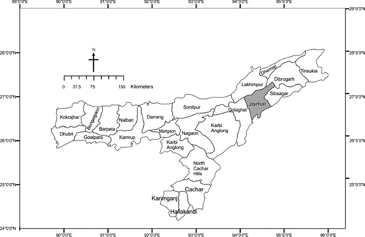 Figure 1 Refer to the image caption for details.