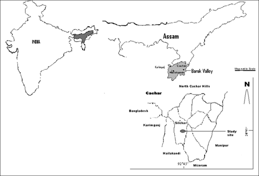 Figure 1 Refer to the image caption for details.