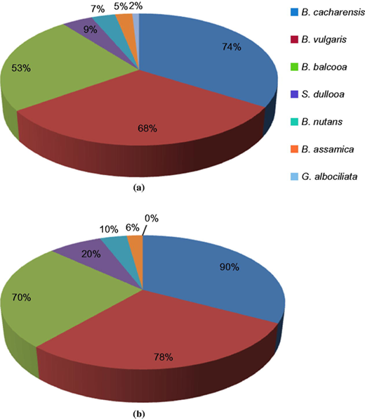 Figure 2 Refer to the image caption for details.