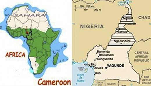 Geographical location of Cameroon, showing the Study Area in the North of the country Refer to the image caption for details.