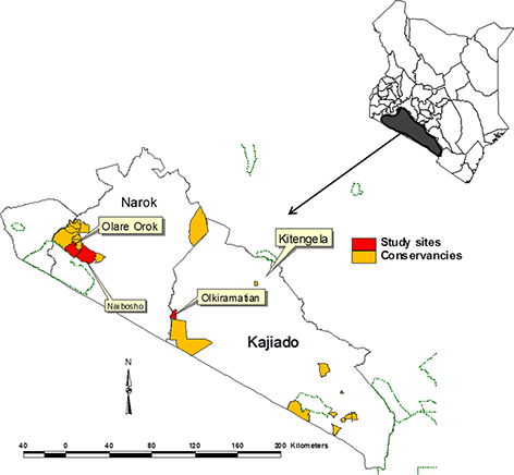 Figure 2 Refer to the image caption for details.