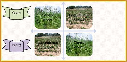 Figure 9 Refer to the image caption for details.