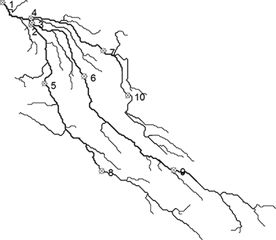 Figure 2 Refer to the image caption for details.