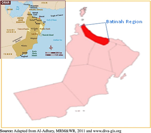 Figure 1 Refer to the image caption for details.