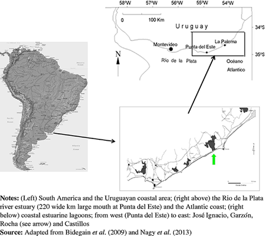 Figure 1 Refer to the image caption for details.