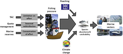 Figure 5. Refer to the image caption for details.