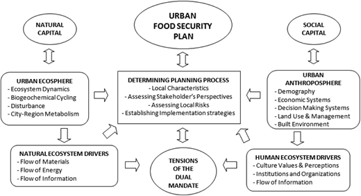 The Urban Food Security Planning Process Refer to the image caption for details.