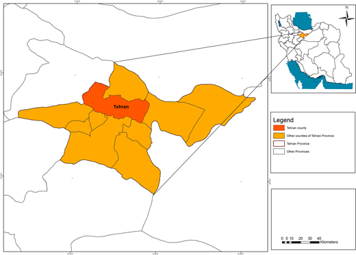 Figure 1. Refer to the image caption for details.