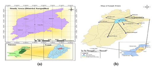 Figure 1. Refer to the image caption for details.