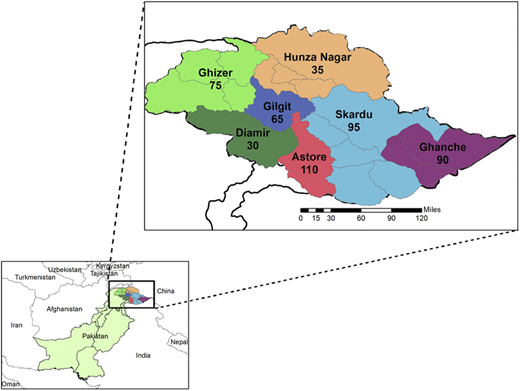 Figure 1. Refer to the image caption for details.