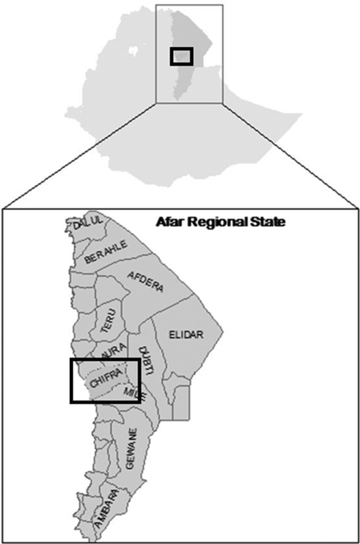 Figure 2. Refer to the image caption for details.