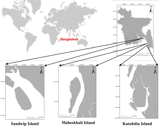 Figure 1. Refer to the image caption for details.
