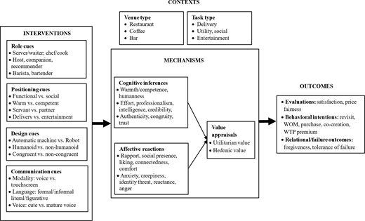 A flowchart connects intervention cues through cognitive, affective and value mechanisms to consumer outcomes.