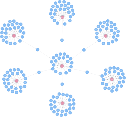The schematic diagram of the rim chain network in Neo4j Refer to the image caption for details.