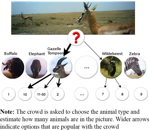 Figure 2. Refer to the image caption for details.