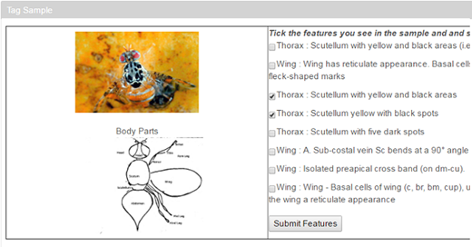 Figure 2. Refer to the image caption for details.