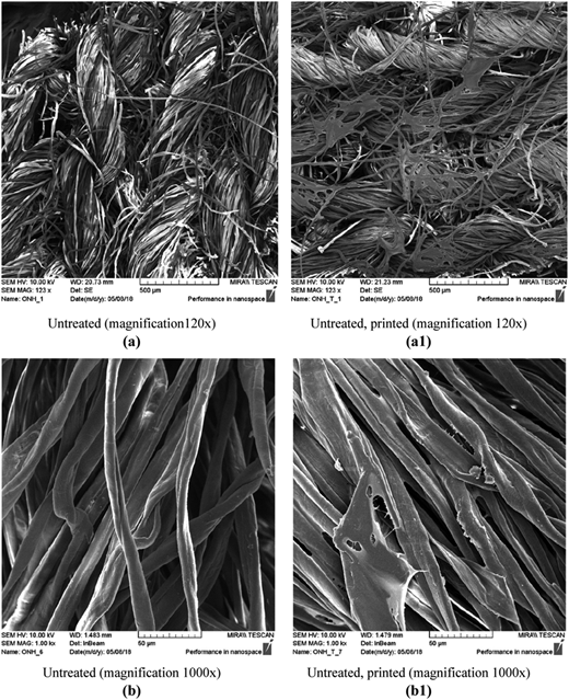 Figure 2 Refer to the image caption for details.