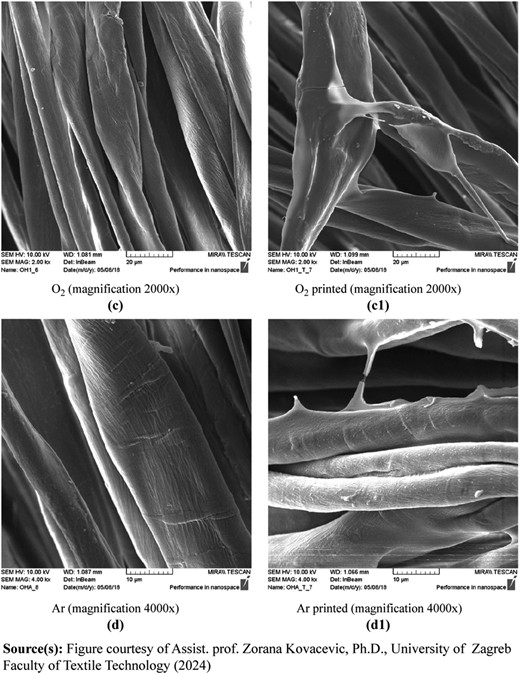 Figure 2 Refer to the image caption for details.