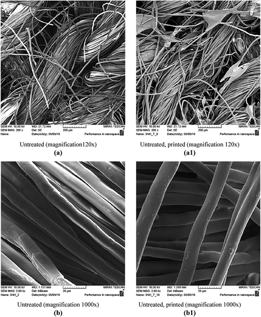 Figure 3 Refer to the image caption for details.