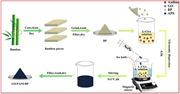 A diagram illustrating the fabrication process of GO/PANI/BP nanocomposites.