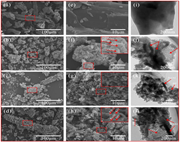 A collage of scanning electron microscope images and transmission electron microscope images of various nanomaterials.