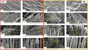 A collage of scanning electron microscope images showing dry and water-soaked samples.