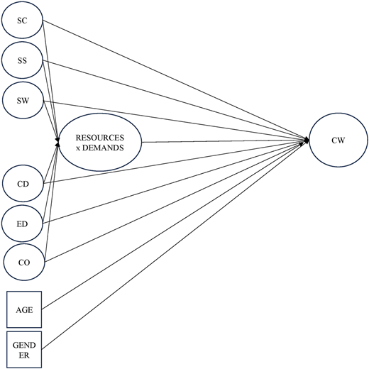 A structural model shows “S C”, “S S”, “S W”, “C D”, “E D”, “C O”, “AGE”, and “GENDER” influencing “C W”.