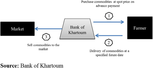 Figure 1. Refer to the image caption for details.