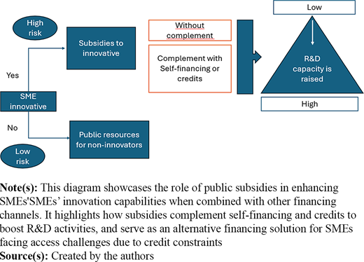 A conceptual diagram showing how subsidies and complementary financing raise R and D capacity.