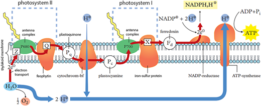 Figure 1 Refer to the image caption for details.