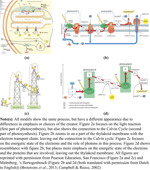 Figure 2 Refer to the image caption for details.