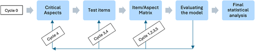 A model shows sequential cycles linking critical aspects, test items, matrices, evaluation, and final statistical analysis.