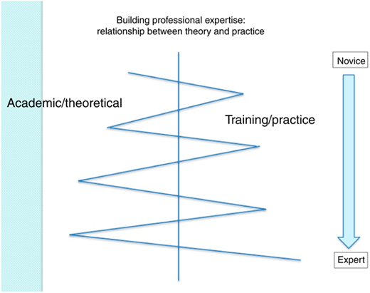 Figure 2 Refer to the image caption for details.