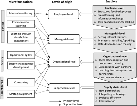 A flowchart showing links among microfoundations, levels of origin, and enablers.
