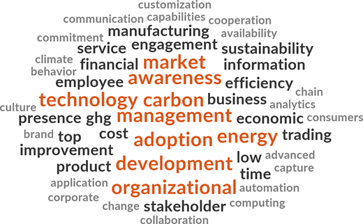 A word cloud showing frequent terms related to technology, carbon management, energy adoption, development, market awareness, and organizational change.