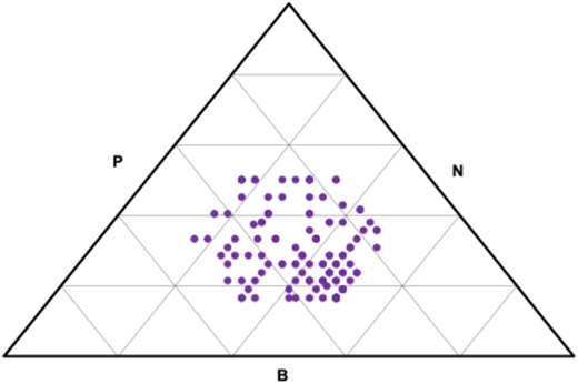 A triangular grid plot with purple dots at the center. Each corner is labeled “P”, “N”, and “B”.